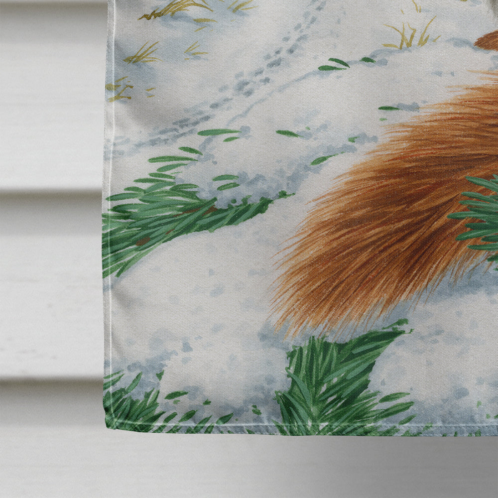 Red Squirrel & Cottage House Flag 28x40 Porch Sleeve Pole Decorative Outside Yard Banner Artwork Wall Hanging, Polyester