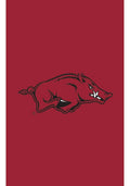 Arkansas Razorbacks Garden Flag 2 Sided Applique Logo