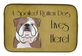 English Bulldog Spoiled Dog Lives Here Dish Drying Mat Absorbent Dish Drying Mat Pad for Kitchen Counter Dish Drainer Mat for Countertop, 14 x 21", Multicolor