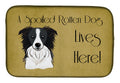 Border Collie Spoiled Dog Lives Here Dish Drying Mat Absorbent Dish Drying Mat Pad for Kitchen Counter Dish Drainer Mat for Countertop, 14 x 21", Multicolor