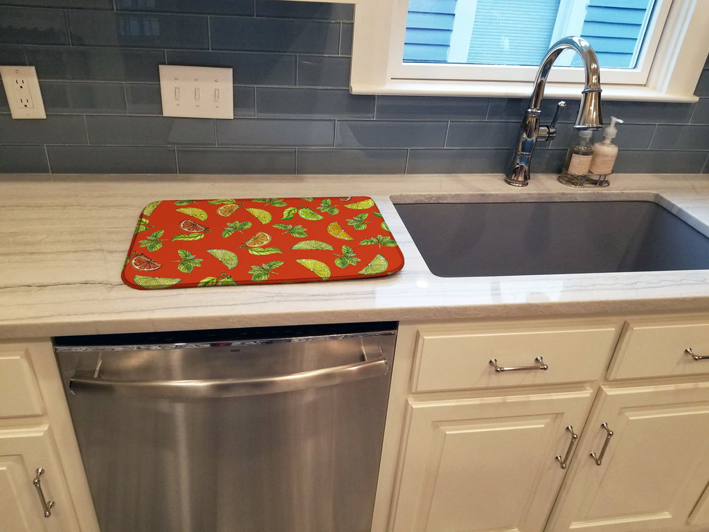 Lemons, Limes and Oranges Dish Drying Mat Absorbent Dish Drying Mat Pad for Kitchen Counter Dish Drainer Mat for Countertop, 14 x 21", Multicolor