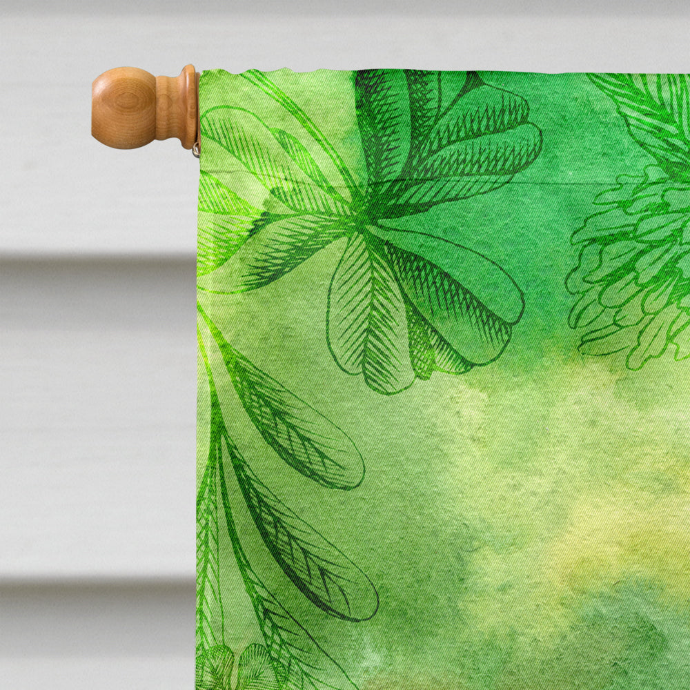 Irish Whiskey and Music Flag Canvas House Size BB5766CHF
