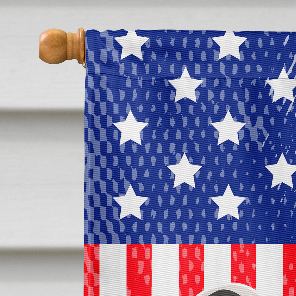 Gascon Saintongeois American House Flag 28x40 Porch Sleeve Pole Decorative Outside Yard Banner Artwork Wall Hanging, Polyester