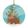 Lionhead Rabbit Christmas Ceramic Ornament Christmas Tree Hanging Decorations for Home Christmas Holiday, Party, Gift, 3 in, Multicolor