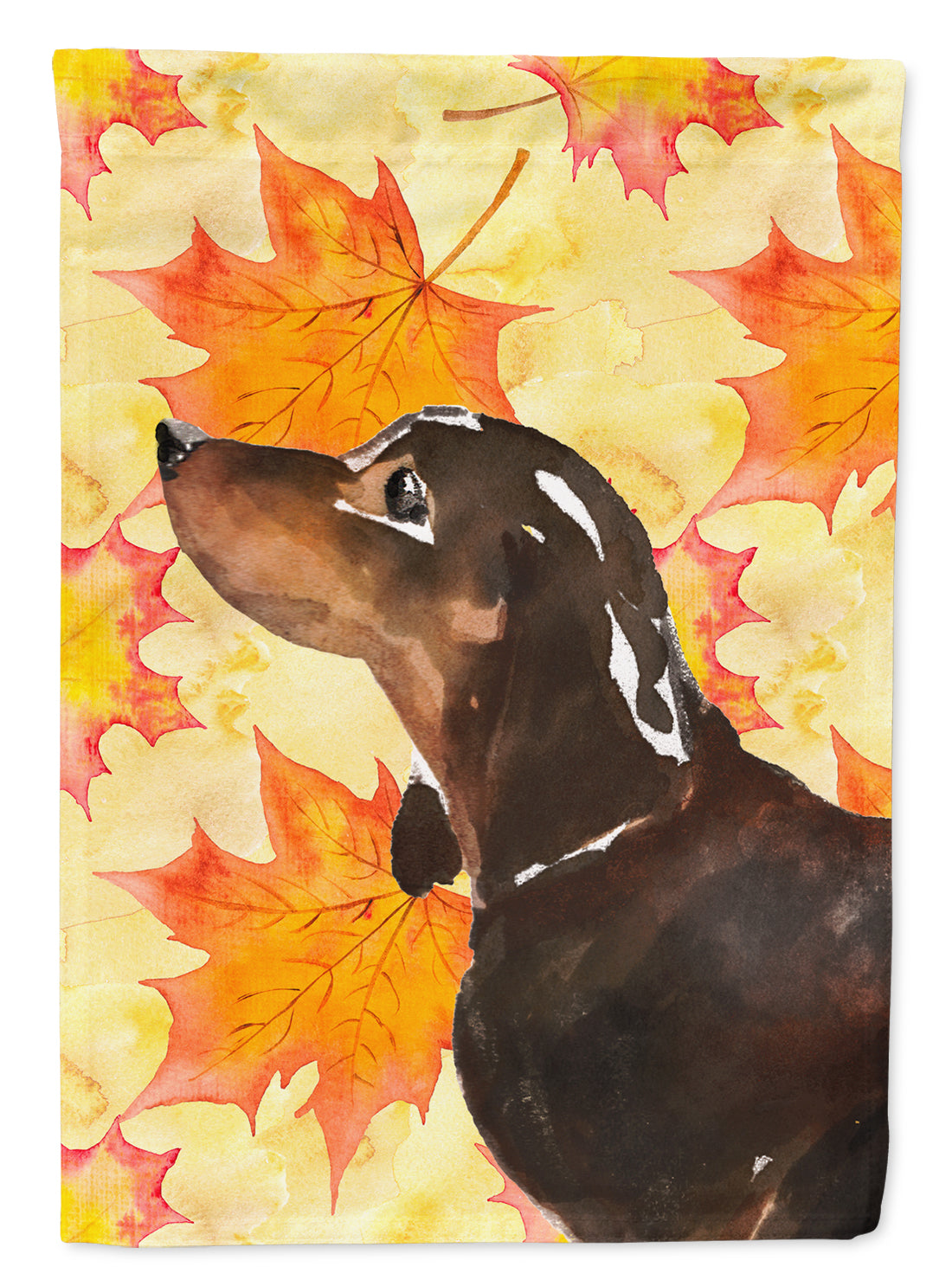 Black and Tan Dachshund Fall Garden Flag Mailbox Decorative Yard Banner Outside Patio Artwork for Flower Beds, Garden Size, Multicolor