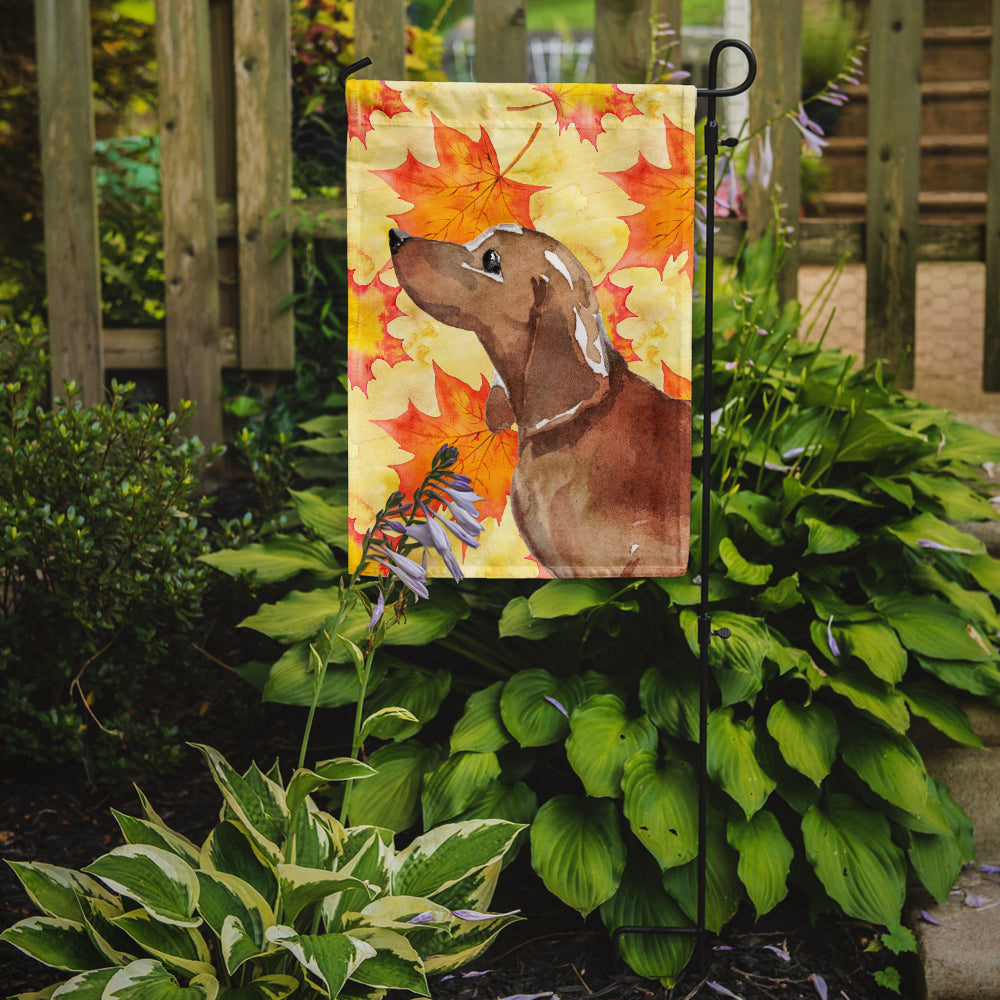 Red Tan Dachshund Fall Garden Flag Mailbox Decorative Yard Banner Outside Patio Artwork for Flower Beds, Garden Size, Multicolor