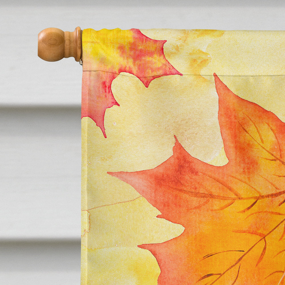Shih Tzu Fall House Flag 28x40 Porch Sleeve Pole Decorative Outside Yard Banner Artwork Wall Hanging, Polyester