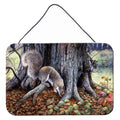 Grey Squirrels around the Tree Wall or Door Hanging Prints Aluminum Metal Sign Kitchen Wall Bar Bathroom Plaque Home Decor, 8HX12W, Multicolor