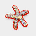 Stone Trim Abalone Starfish Pin Brooch