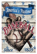 Baseball American Pastime Garden Flag 2 Sided