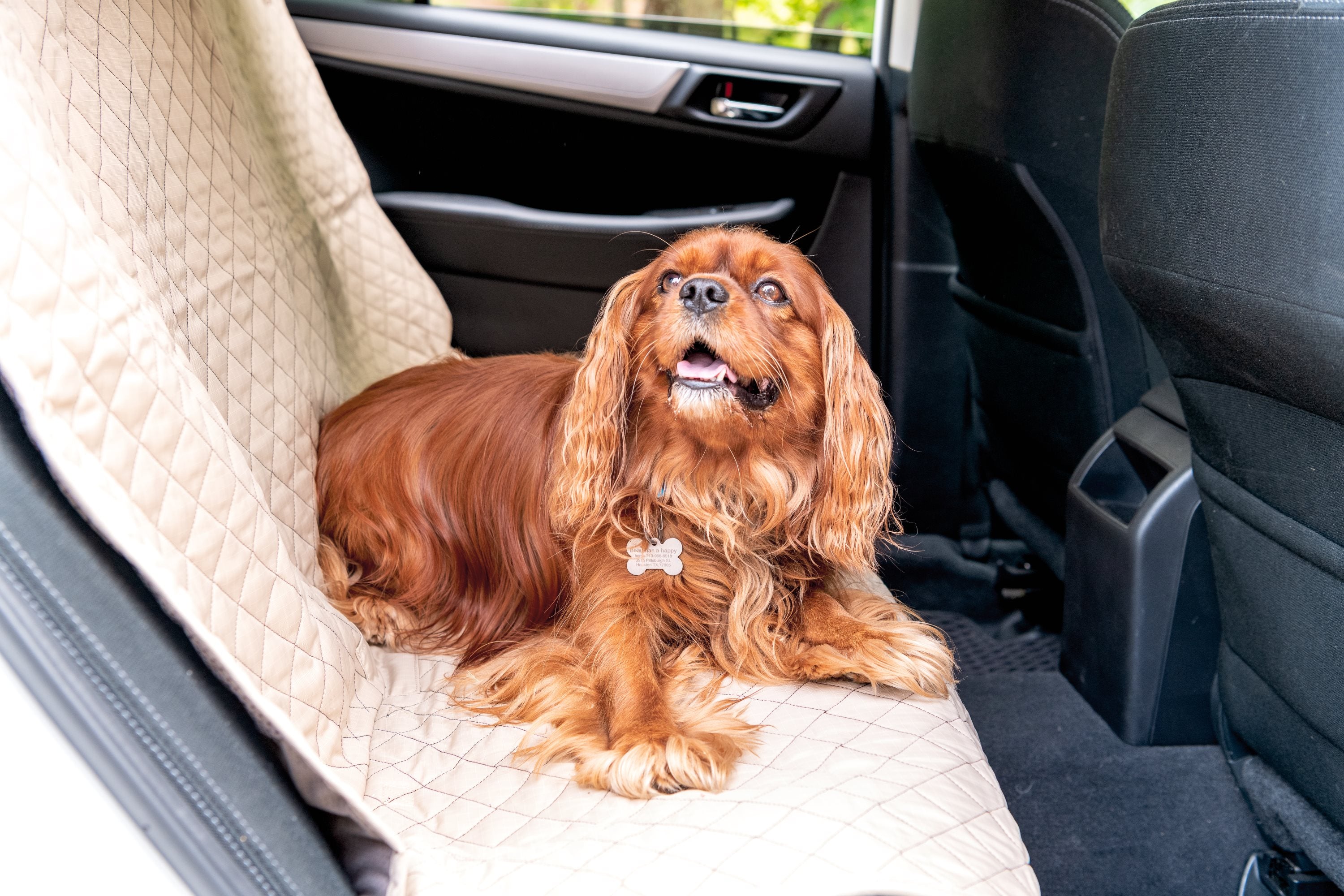 TuffutLuxx® Vehicle Protectors for Travel
