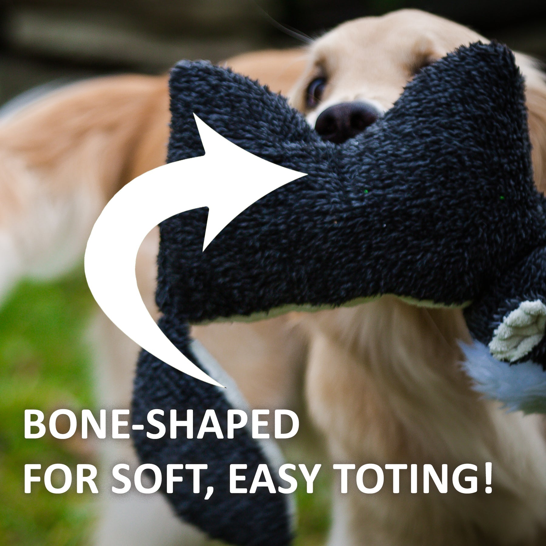 Squooshie™ Skunk Plush Dog Toy