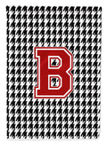 Letter B Monogram - Houndstooth Black Garden Flag Mailbox Decorative Yard Banner Outside Patio Artwork for Flower Beds, Garden Size, Multicolor