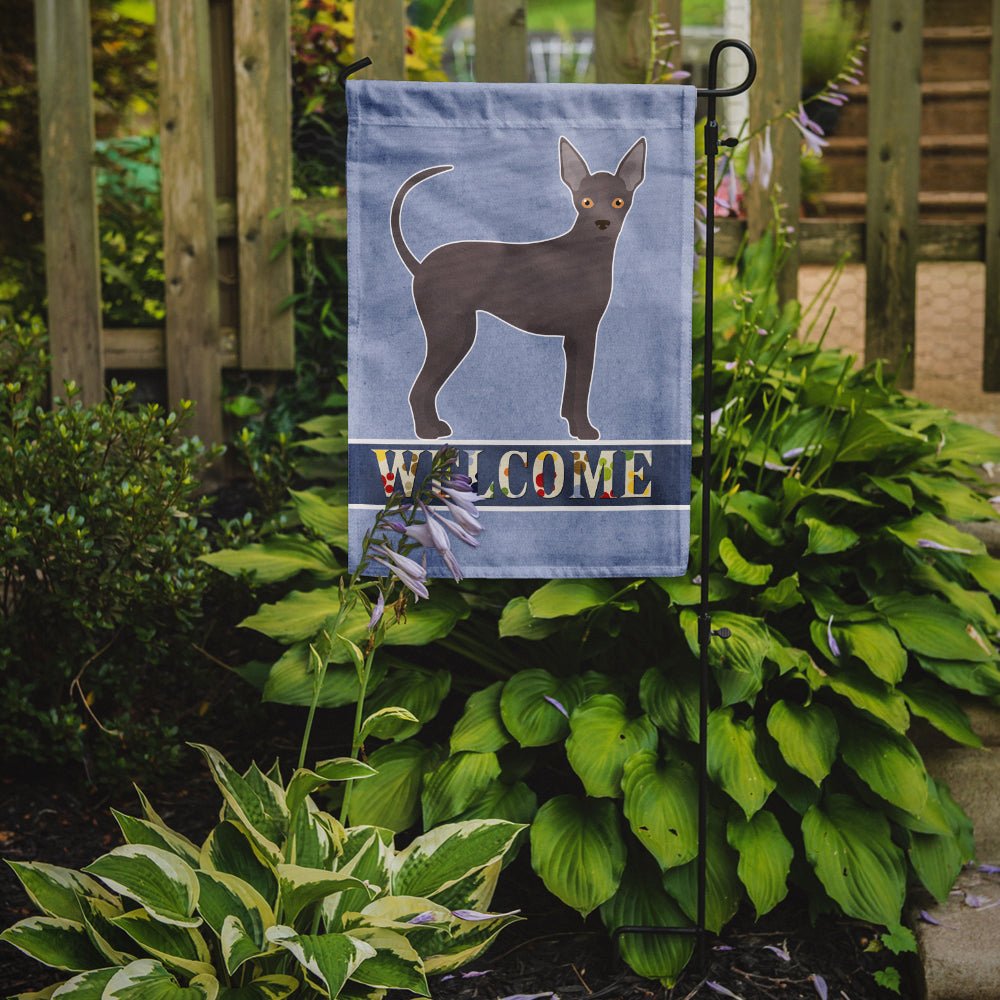 Abyssinian or African Hairless Dog Welcome Garden Flag Mailbox Decorative Yard Banner Outside Patio Artwork for Flower Beds, Garden Size, Multicolor