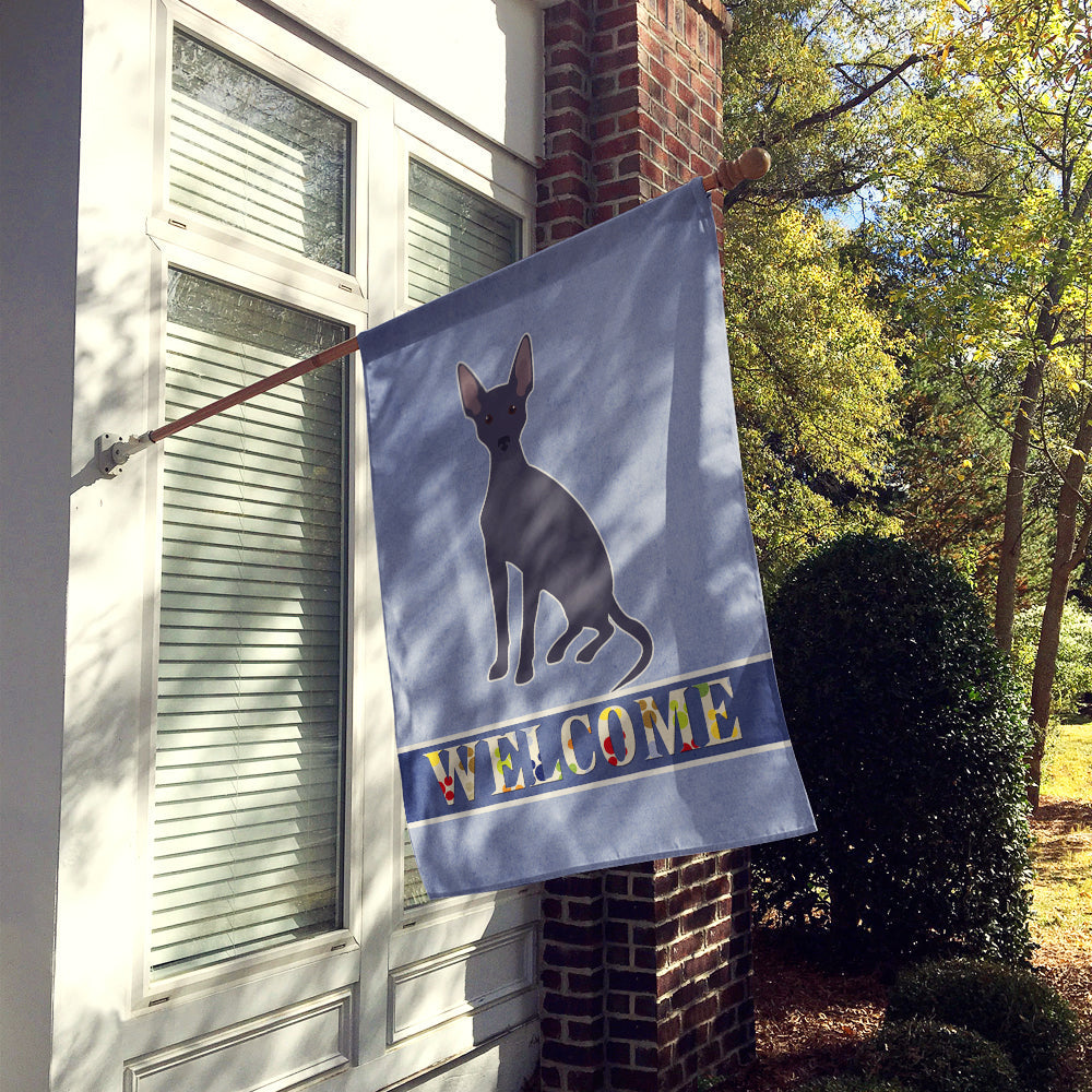 Peruvian Hairless Dog Welcome House Flag 28x40 Porch Sleeve Pole Decorative Outside Yard Banner Artwork Wall Hanging, Polyester