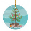 Skinny Guinea Pig Merry Christmas Ceramic Ornament Christmas Tree Hanging Decorations for Home Christmas Holiday, Party, Gift, 3 in, Multicolor