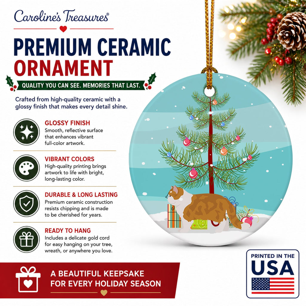 Exotic Shorthair Cat Christmas Ceramic Ornament Christmas Tree Hanging Decorations for Home Christmas Holiday, Party, Gift, 3 in, Multicolor