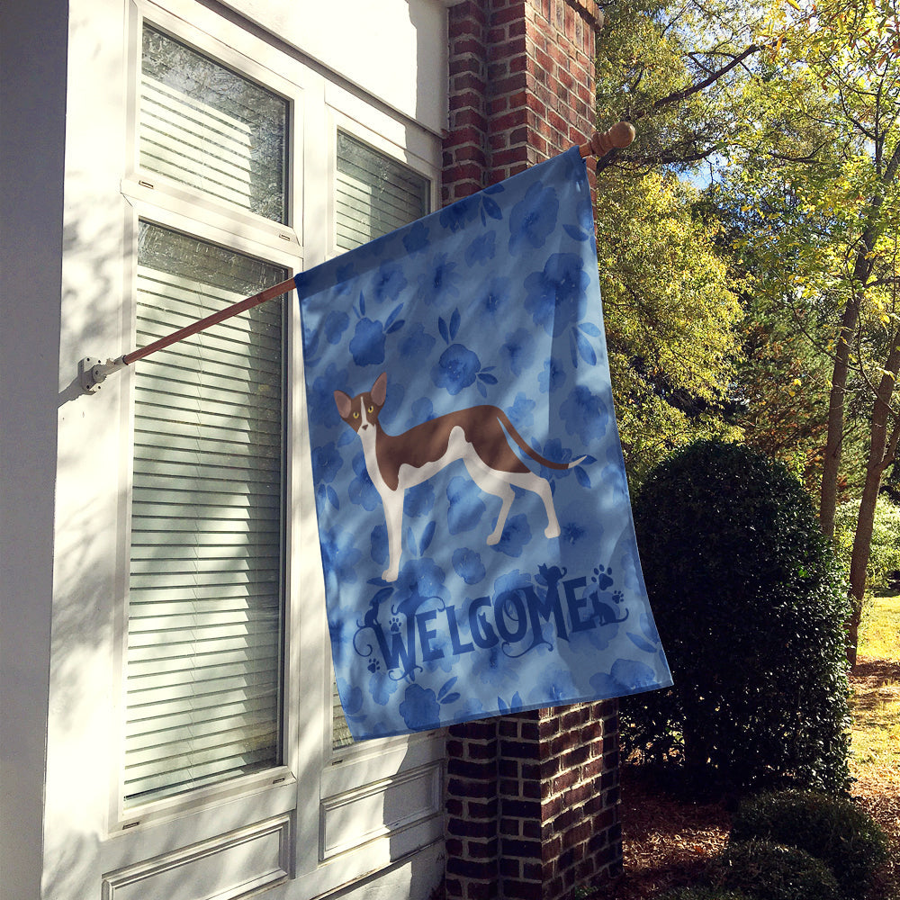 Oriental Shorthair #2 Cat Welcome House Flag 28x40 Porch Sleeve Pole Decorative Outside Yard Banner Artwork Wall Hanging, Polyester