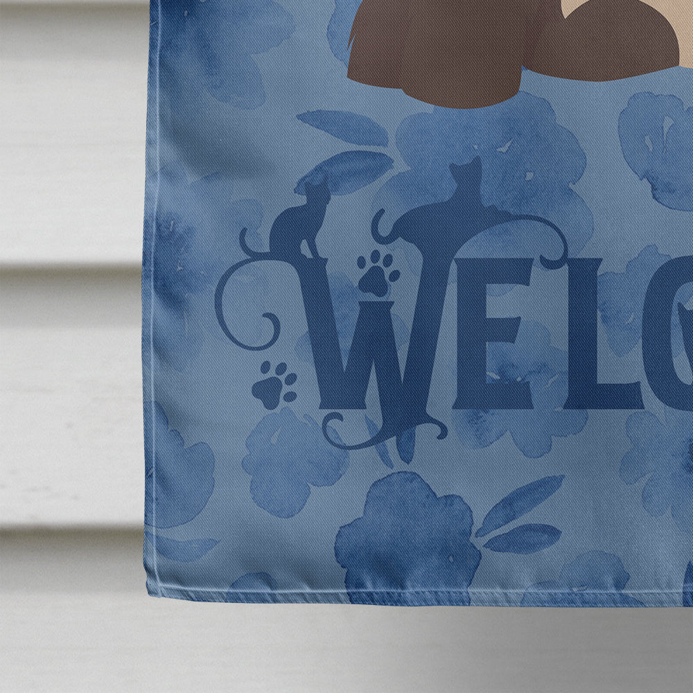 Colorpoint Persian Hymalayan Cat Welcome House Flag 28x40 Porch Sleeve Pole Decorative Outside Yard Banner Artwork Wall Hanging, Polyester
