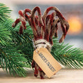 12/Set Antique Chenille Candy Canes (Pack of 2)