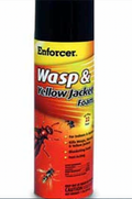Enforcer: Wasp & Yellow Jacket Foam