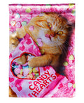 Cat With Candy Heart Valentine Garden Flag 2 Sided