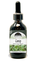 Catnip