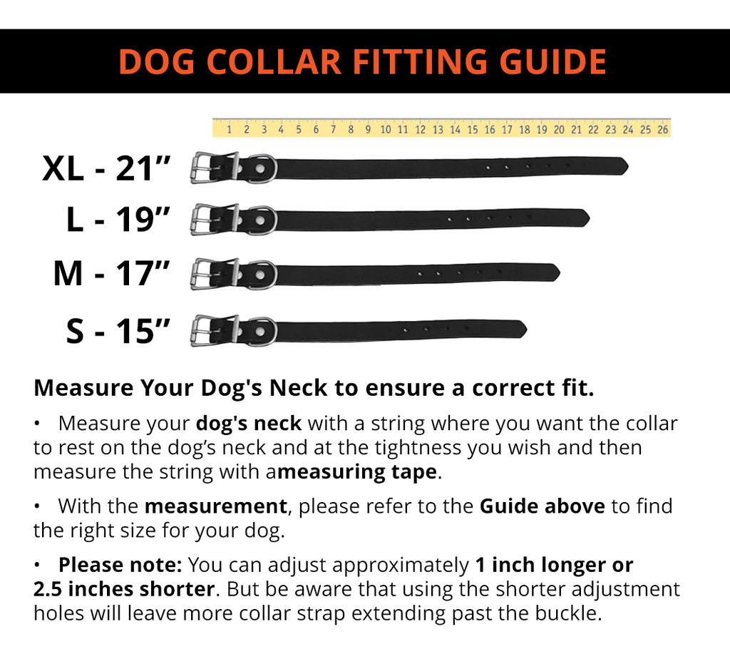 Leather Dog Collar