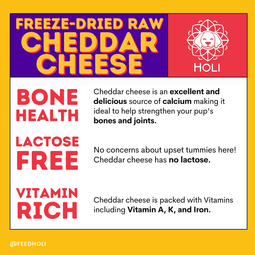 Cheddar Cheese Dog Treats - Freeze Dried - Single Ingredient