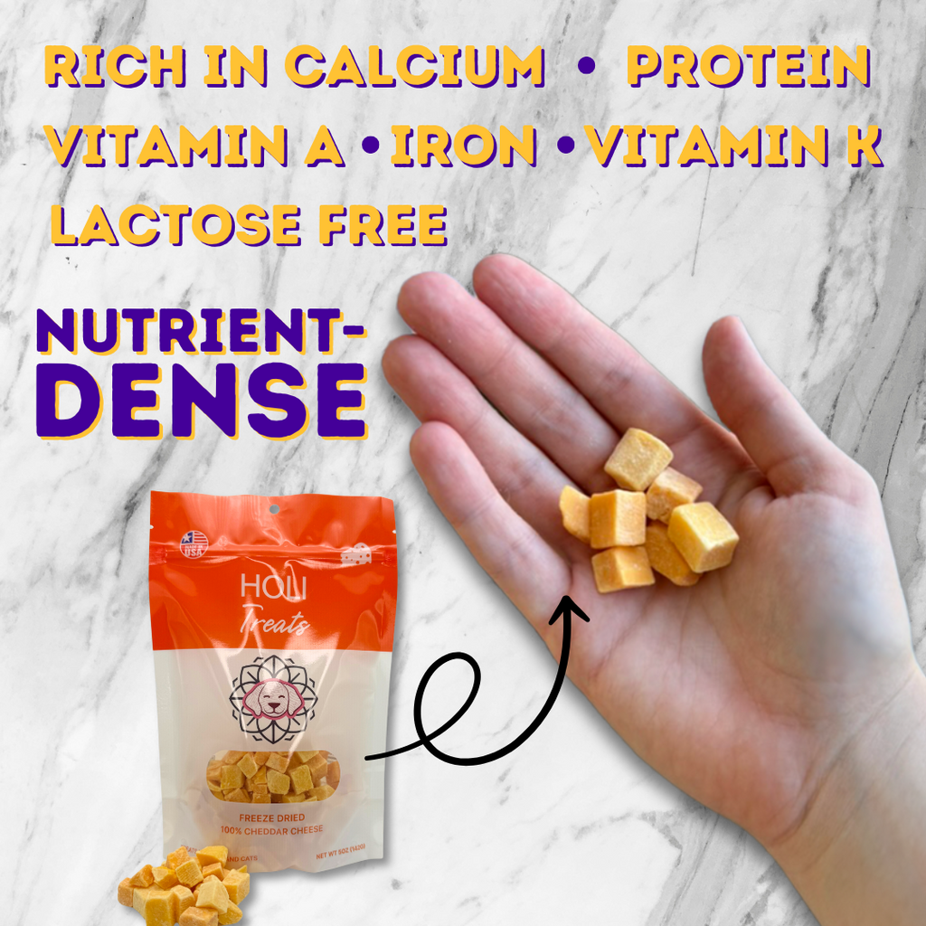 Cheddar Cheese Dog Treats - Freeze Dried - Single Ingredient