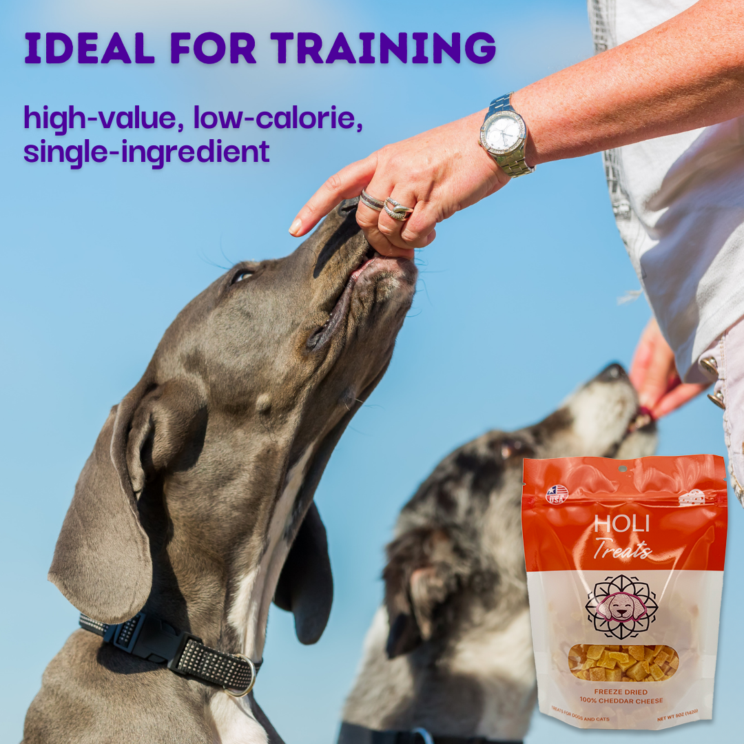 Cheddar Cheese Dog Treats - Freeze Dried - Single Ingredient