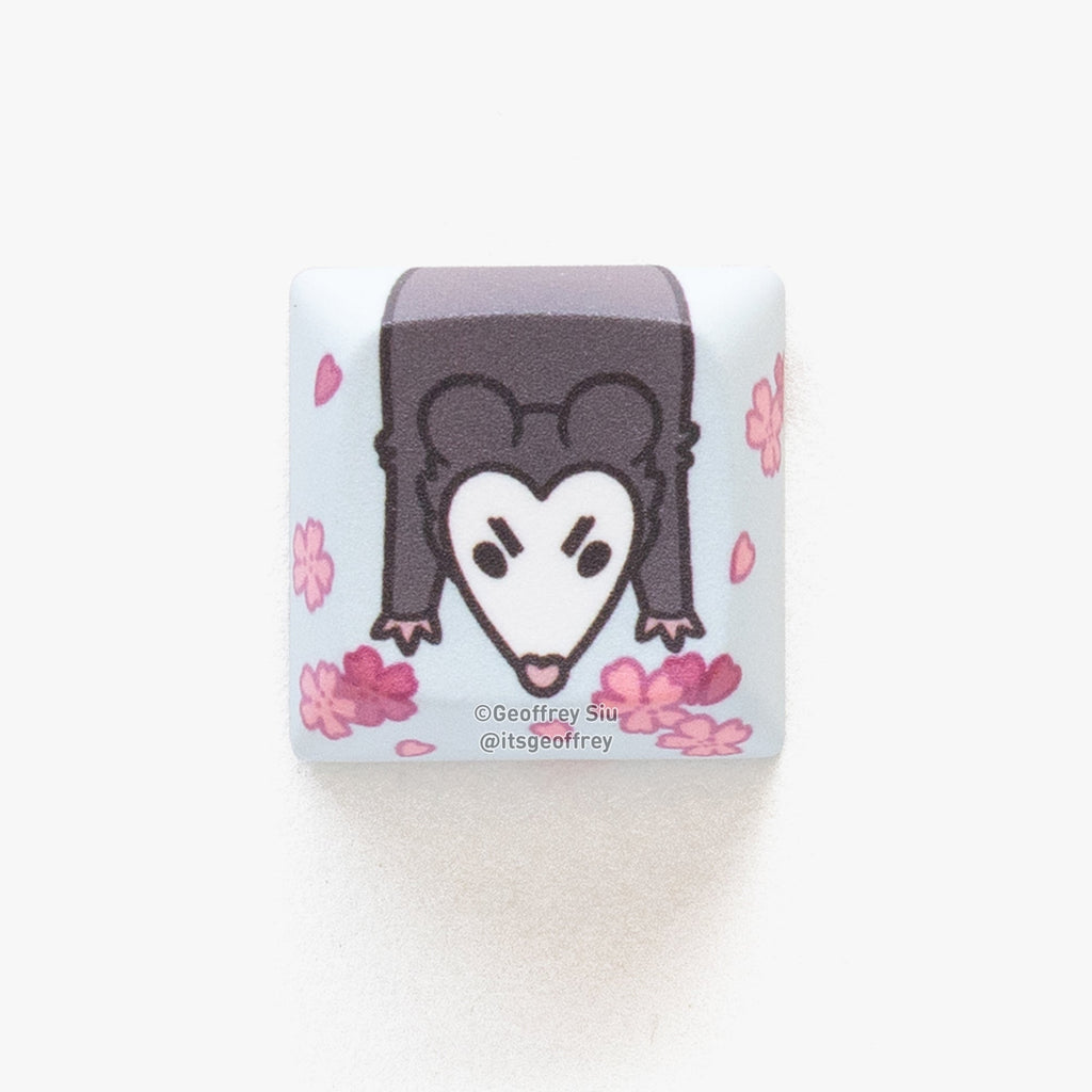 Individual Key Caps