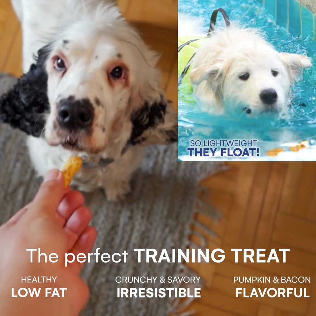 🦴🐶Raw Dog Collagen Puffs 2.5 oz