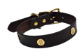 Dog Collar Decorated With Shotgun Shells