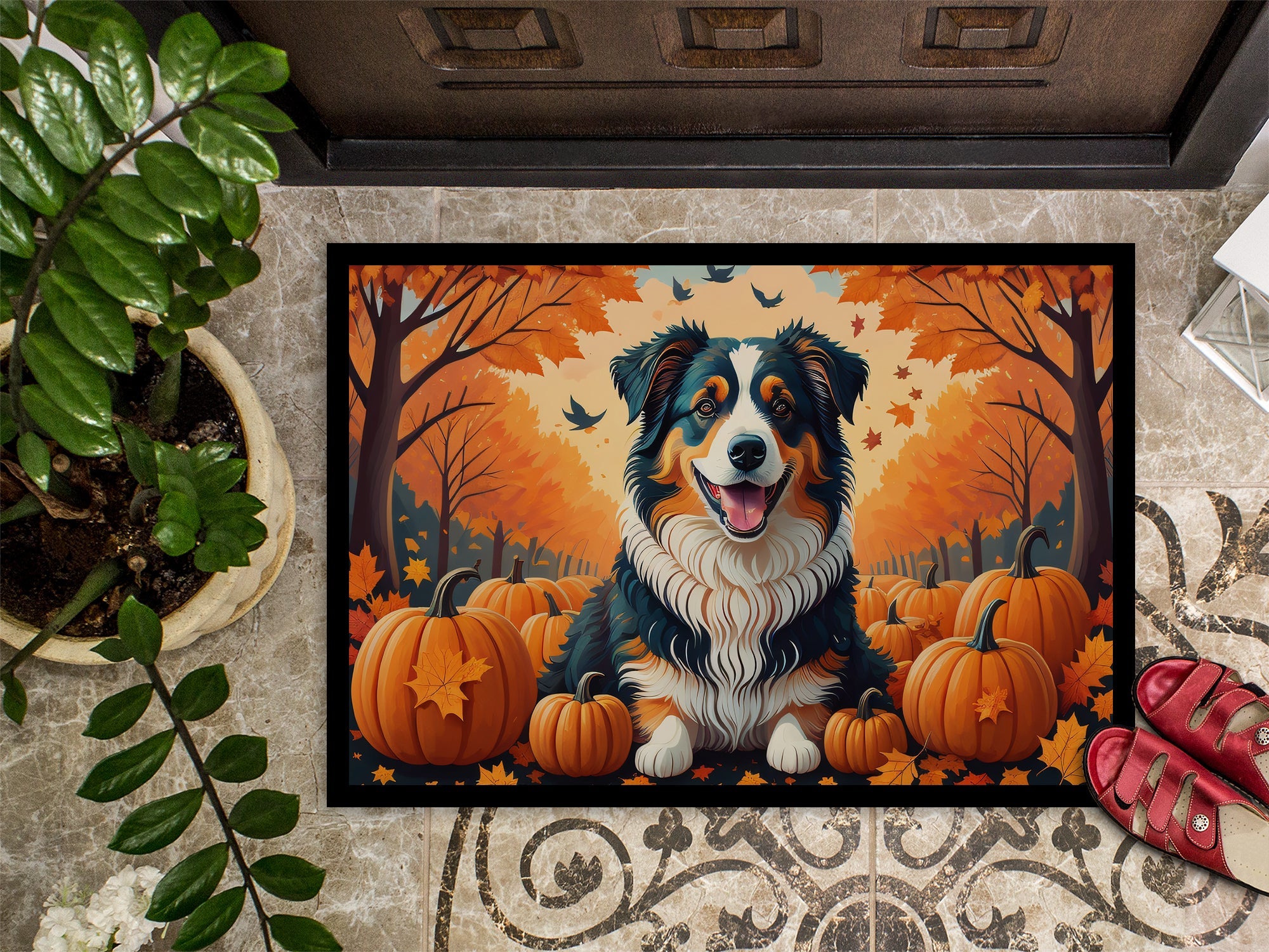 Australian Shepherd Terrier Fall Doormat Indoor Outdoor 24H X 36W Front Door Mat Rugs for Entryway, Non Slip Washable Low Pile,