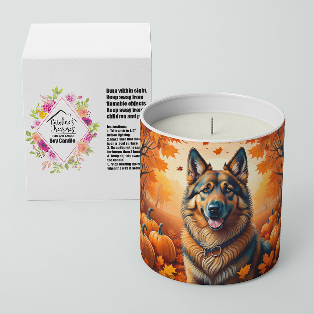 Belgian Tervuren Fall Decorative Soy Candle Nature Soy Wax Essential Oil Home Decor Ideal for Bedroom Kitchen Bath Office Gift, 10 oz