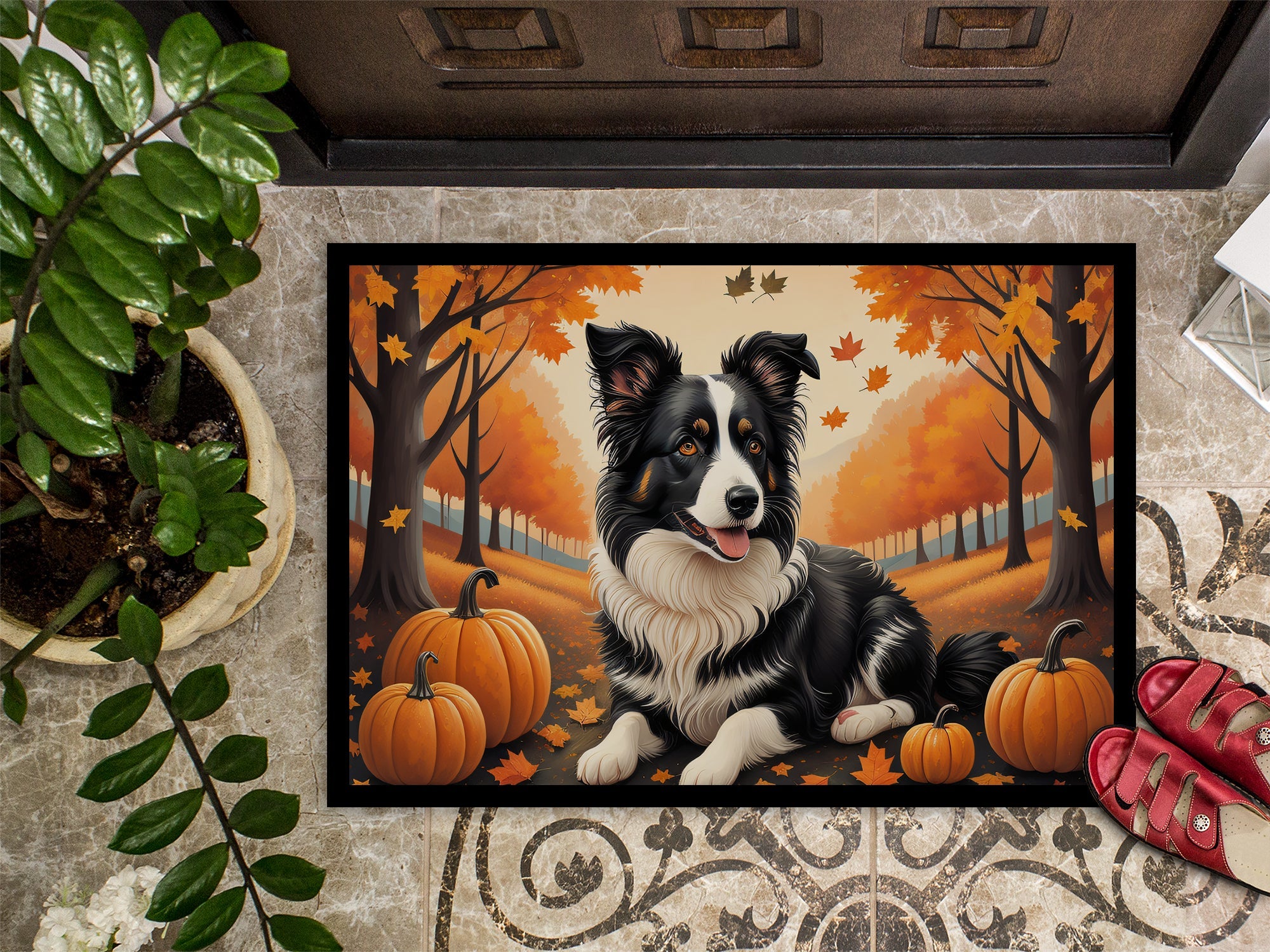 Border Collie Fall Doormat Indoor Outdoor 24H X 36W Front Door Mat Rugs for Entryway, Non Slip Washable Low Pile,