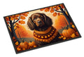 Boykin Spaniel Fall Doormat Indoor Outdoor 24H X 36W Front Door Mat Rugs for Entryway, Non Slip Washable Low Pile,
