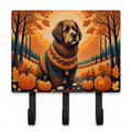 Briard Fall Leash or Key Holder Wall Hooks, Coat Rack Wall Mount, for Hanging Keys, Towels, Aprons, Leashes
