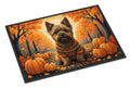 Cairn Terrier Fall Doormat Indoor Outdoor 24H X 36W Front Door Mat Rugs for Entryway, Non Slip Washable Low Pile,