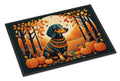Dachshund Fall Doormat Indoor Outdoor 18H X 27W Front Door Mat Rugs for Entryway, Non Slip Washable