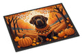 Chocolate Labrador Retriever Fall Doormat Indoor Outdoor 24H X 36W Front Door Mat Rugs for Entryway, Non Slip Washable Low Pile,