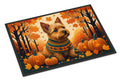 Norwich Terrier Fall Doormat Indoor Outdoor 18H X 27W Front Door Mat Rugs for Entryway, Non Slip Washable