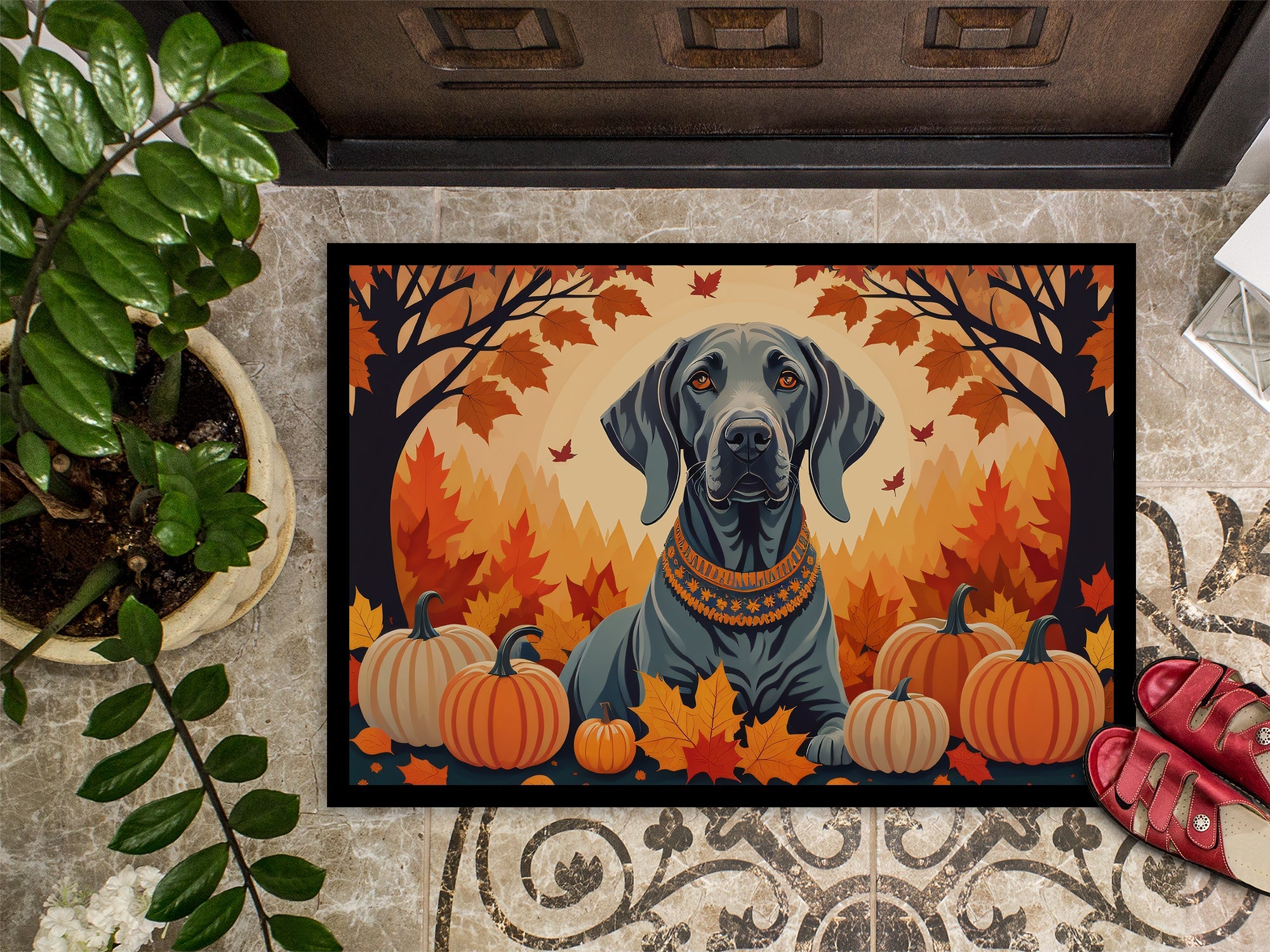 Weimaraner Fall Doormat Indoor Outdoor 24H X 36W Front Door Mat Rugs for Entryway, Non Slip Washable Low Pile,