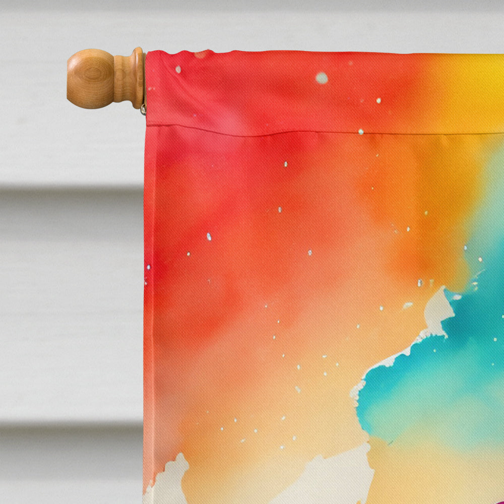 Brunia in Color House Flag 28x40 Porch Sleeve Pole Decorative Outside Yard Banner Artwork Wall Hanging, Polyester