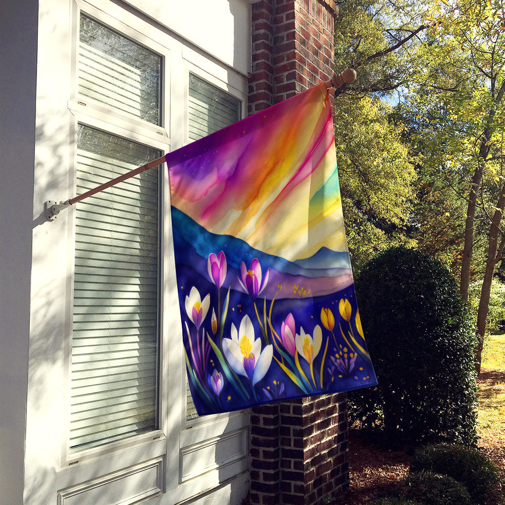 Crocus in Color House Flag 28x40 Porch Sleeve Pole Decorative Outside Yard Banner Artwork Wall Hanging, Polyester