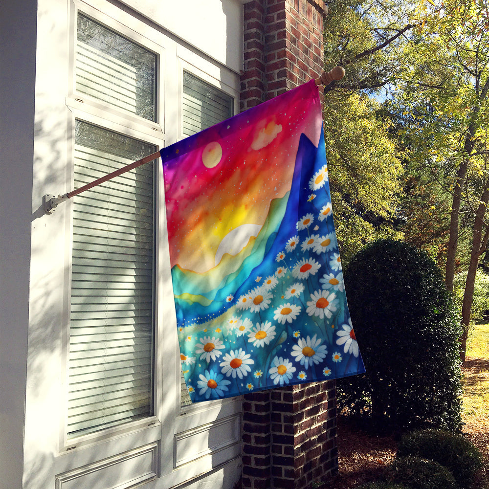 Daisies in Color House Flag 28x40 Porch Sleeve Pole Decorative Outside Yard Banner Artwork Wall Hanging, Polyester