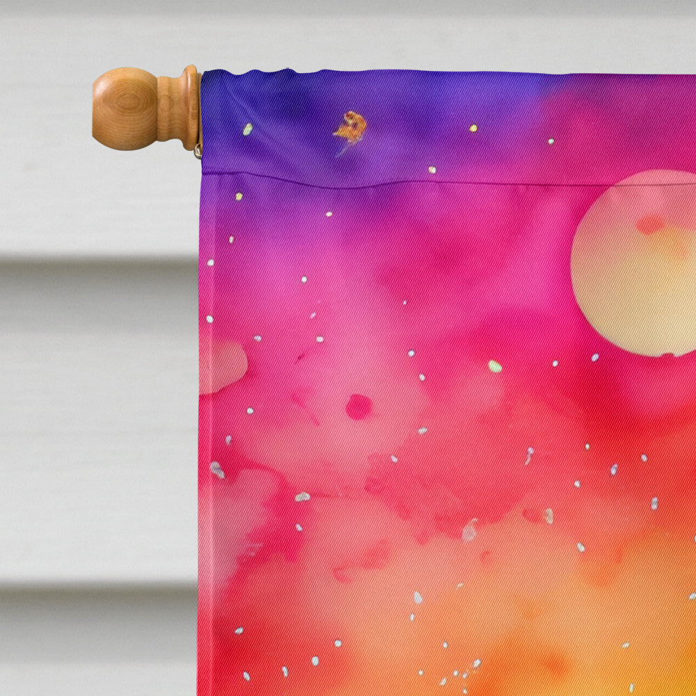 Daisies in Color House Flag 28x40 Porch Sleeve Pole Decorative Outside Yard Banner Artwork Wall Hanging, Polyester