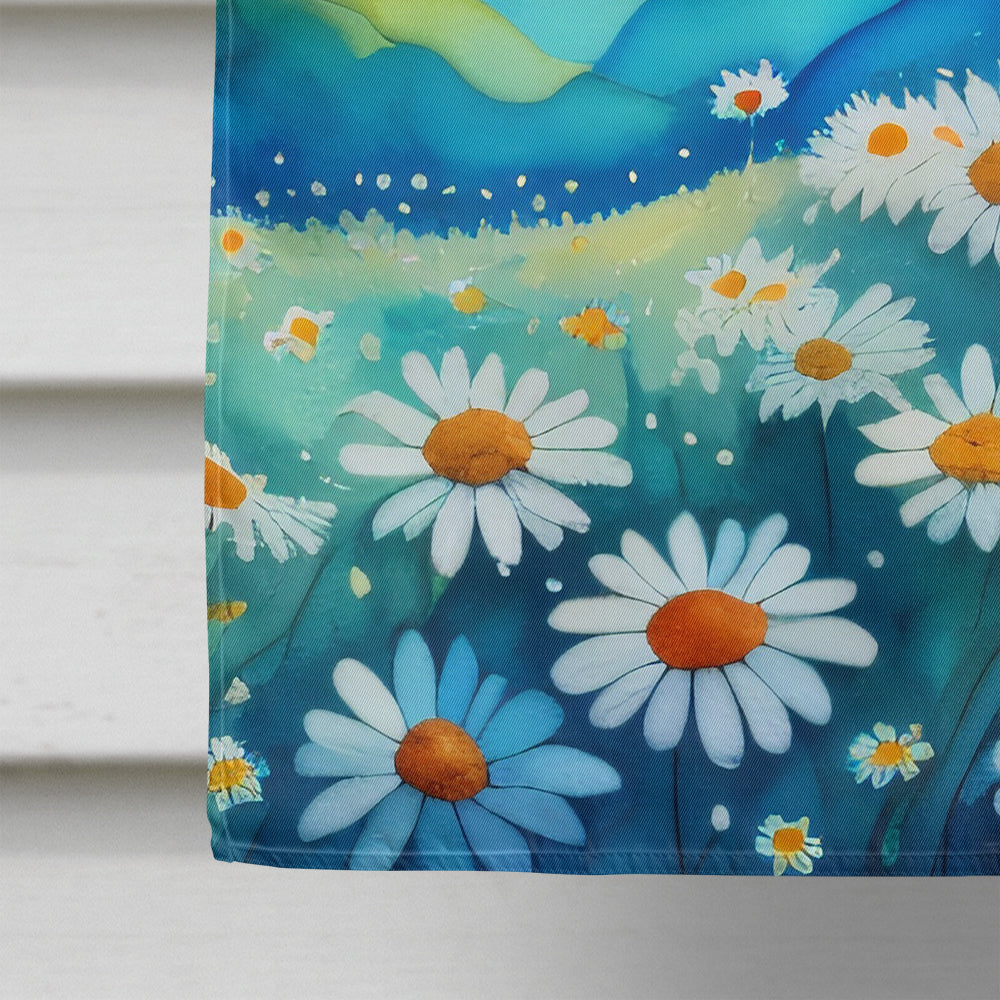 Daisies in Color House Flag 28x40 Porch Sleeve Pole Decorative Outside Yard Banner Artwork Wall Hanging, Polyester