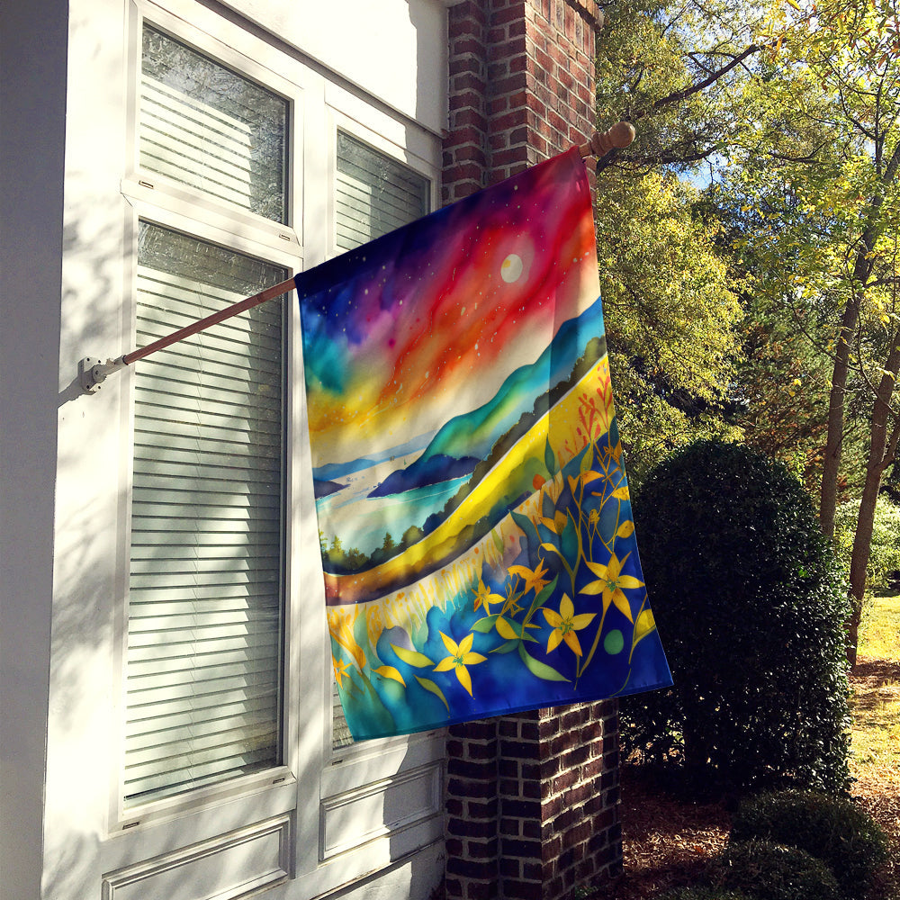 Hypericum or St. John’s Wort in Color House Flag 28x40 Porch Sleeve Pole Decorative Outside Yard Banner Artwork Wall Hanging, Polyester